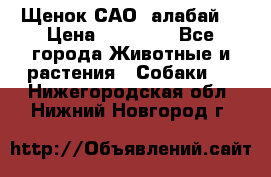 Щенок САО (алабай) › Цена ­ 10 000 - Все города Животные и растения » Собаки   . Нижегородская обл.,Нижний Новгород г.